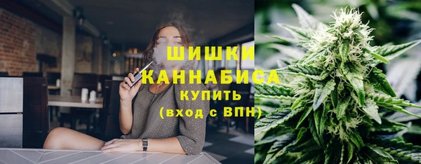 стаф Лабытнанги