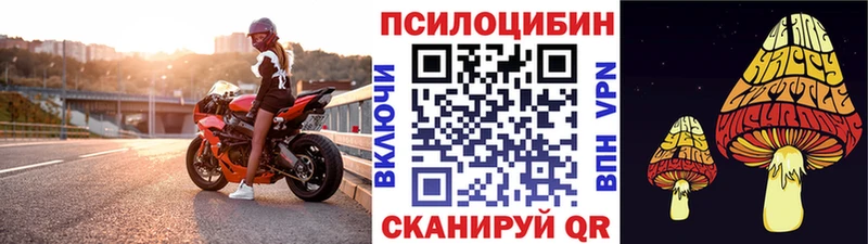 Купить где  Знаменск  Псилоцибиновые грибы мицелий 