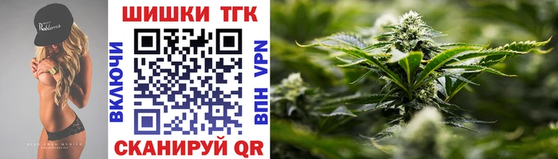 Купить закладки  Знаменск  Шишки марихуана White Widow 